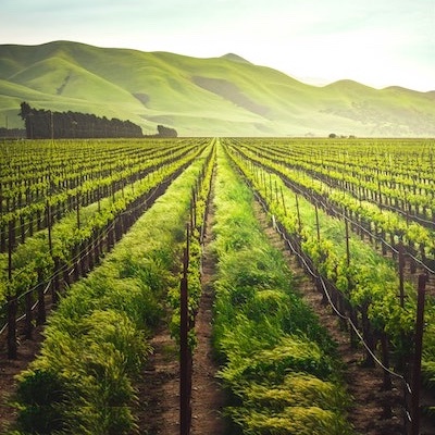 Agritech and Agribusiness